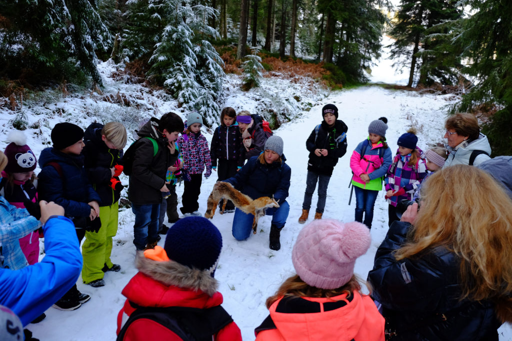 Naturpark-Entdeckertag Kaltenbronn