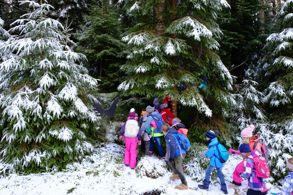 Naturpark-Entdeckertag Kaltenbronn