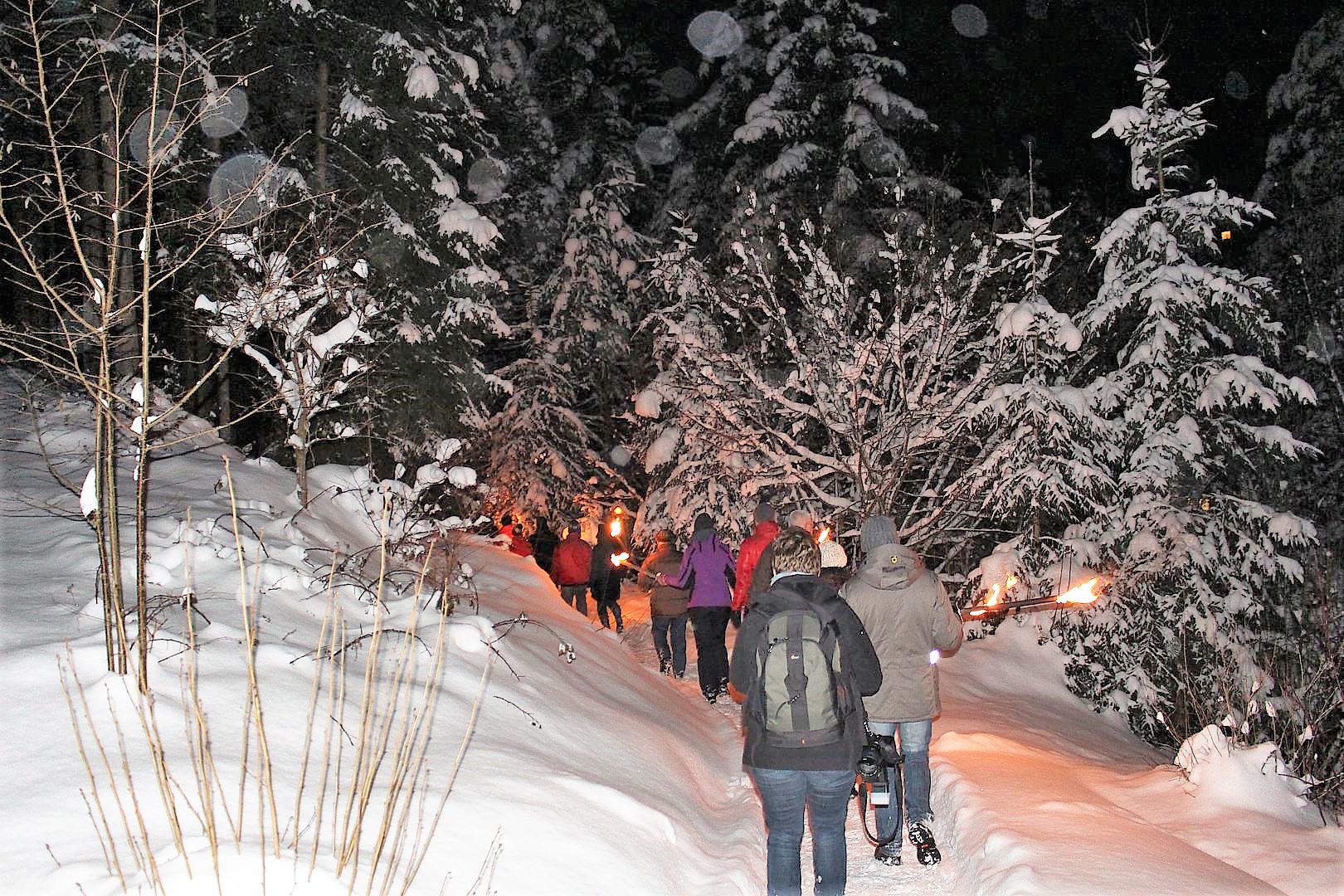 Schwarzwald-Guide-Tour Sagenhaftes Tennenbronn