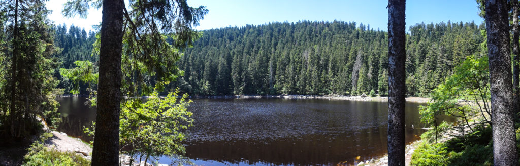 Karseen im Schwarzwald - Glaswaldsee