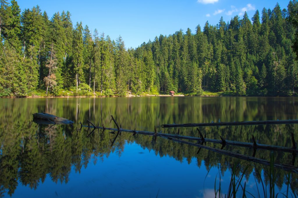 Karseen im Schwarzwald - Glaswaldsee