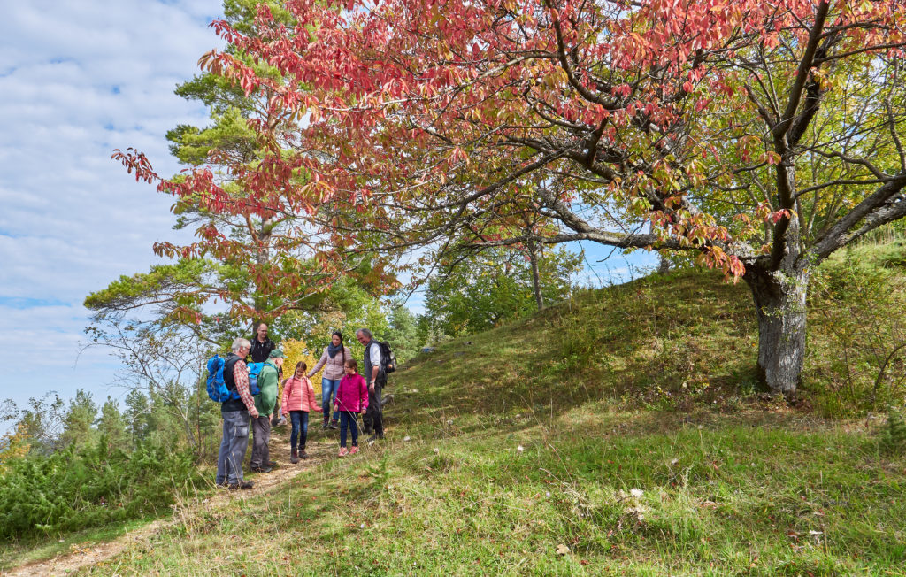 Naturpark-AugenBlick-Runde Egenhausen