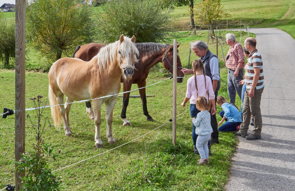 Naturpark-AugenBlick-Runde Egenhausen