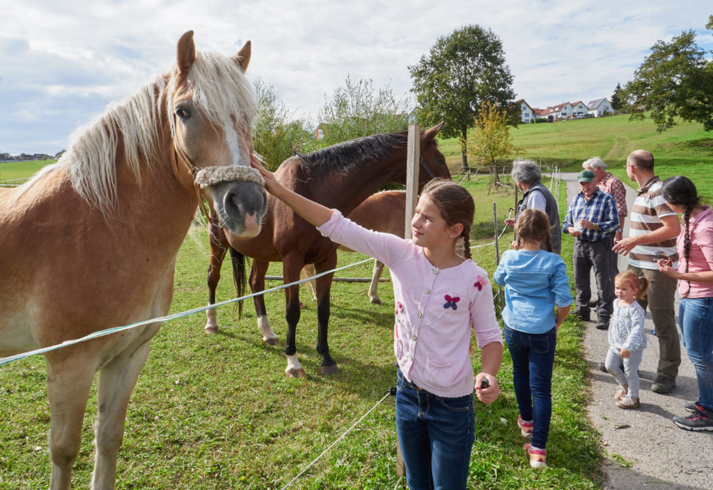 Naturpark-AugenBlick-Runde Egenhausen