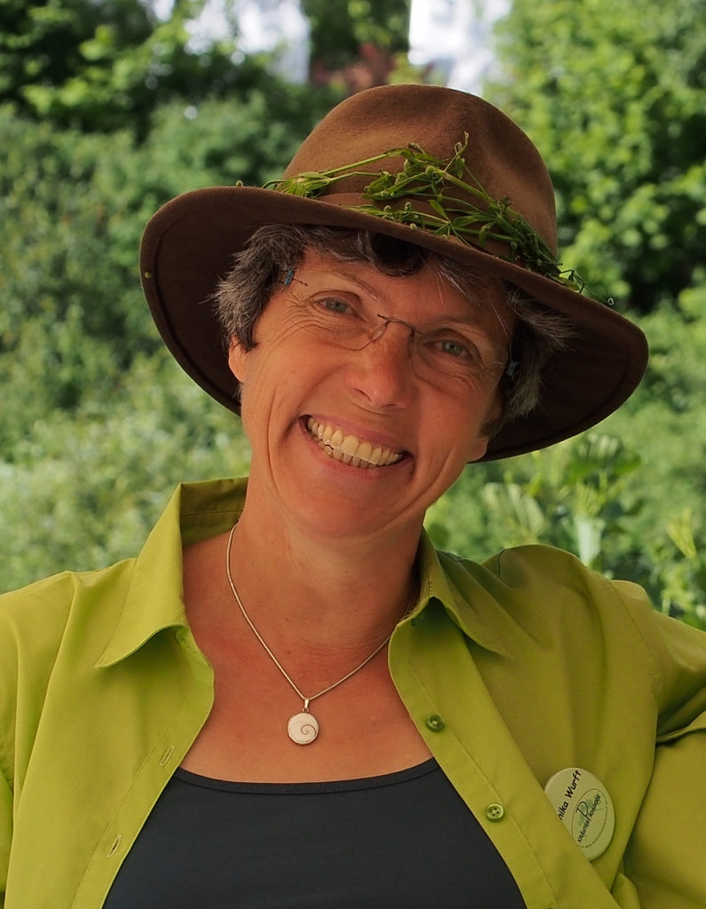 Wildpflanzenlexikon: Die Heidelbeere