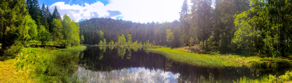 Karseen im Schwarzwald - Buhlbachsee