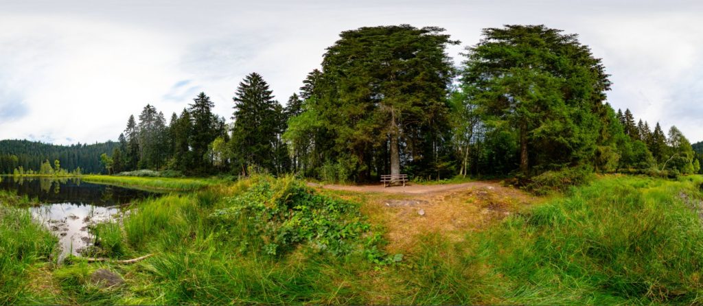 Karseen im Schwarzwald - Buhlbachsee