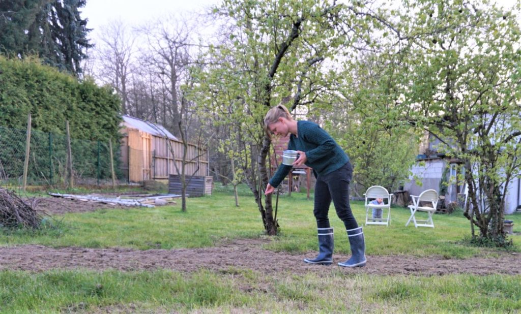 Wildblumen im Garten