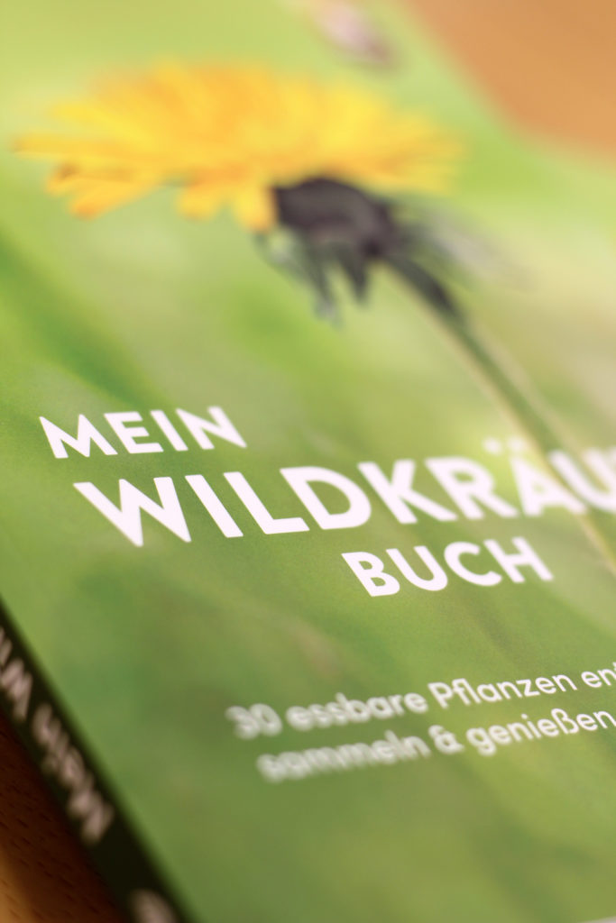 Wildkräuter im Frühling - Pflanzenquiz