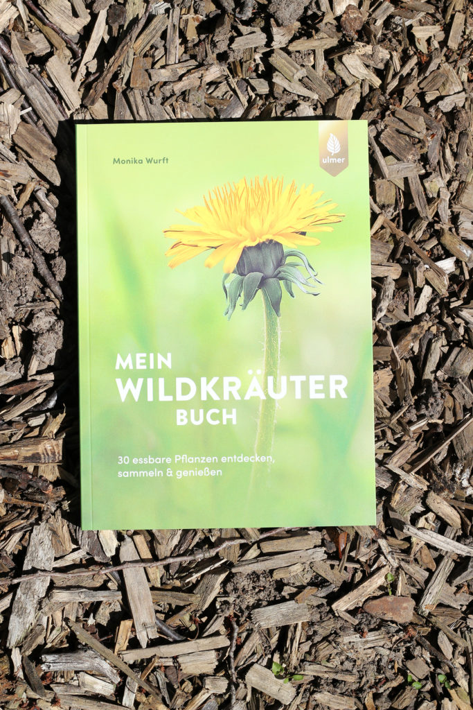 Wildkräuter im Frühling - Pflanzenquiz
