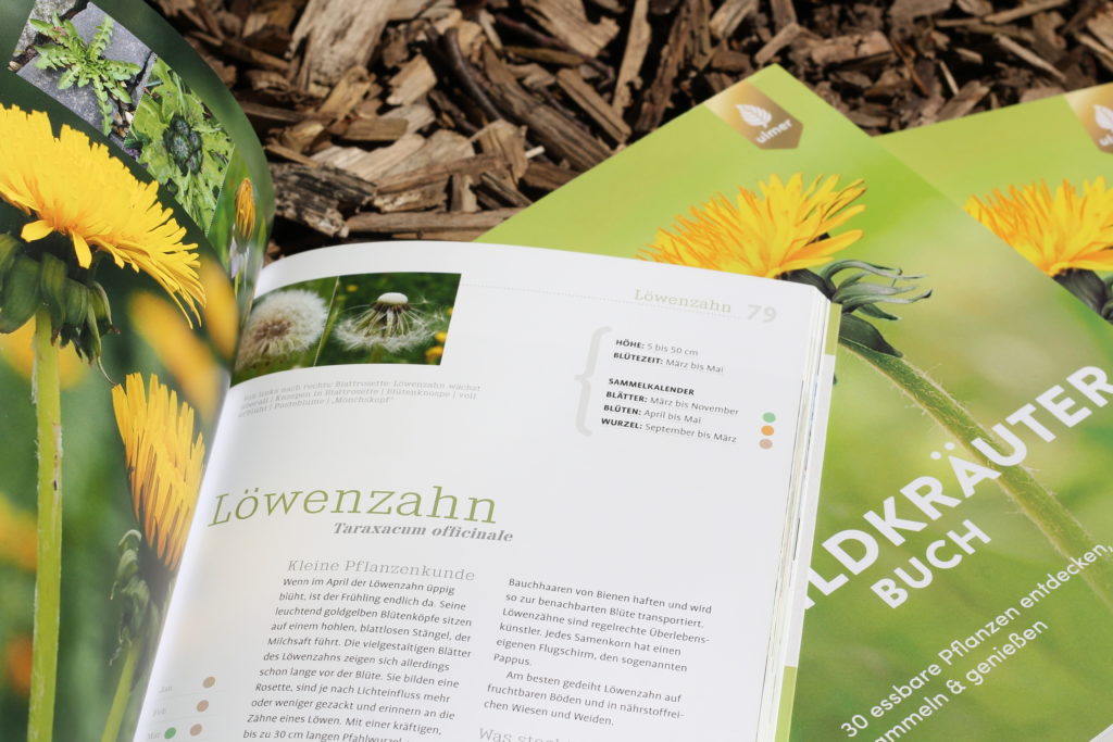 Wildkräuter im Frühling - Pflanzenquiz