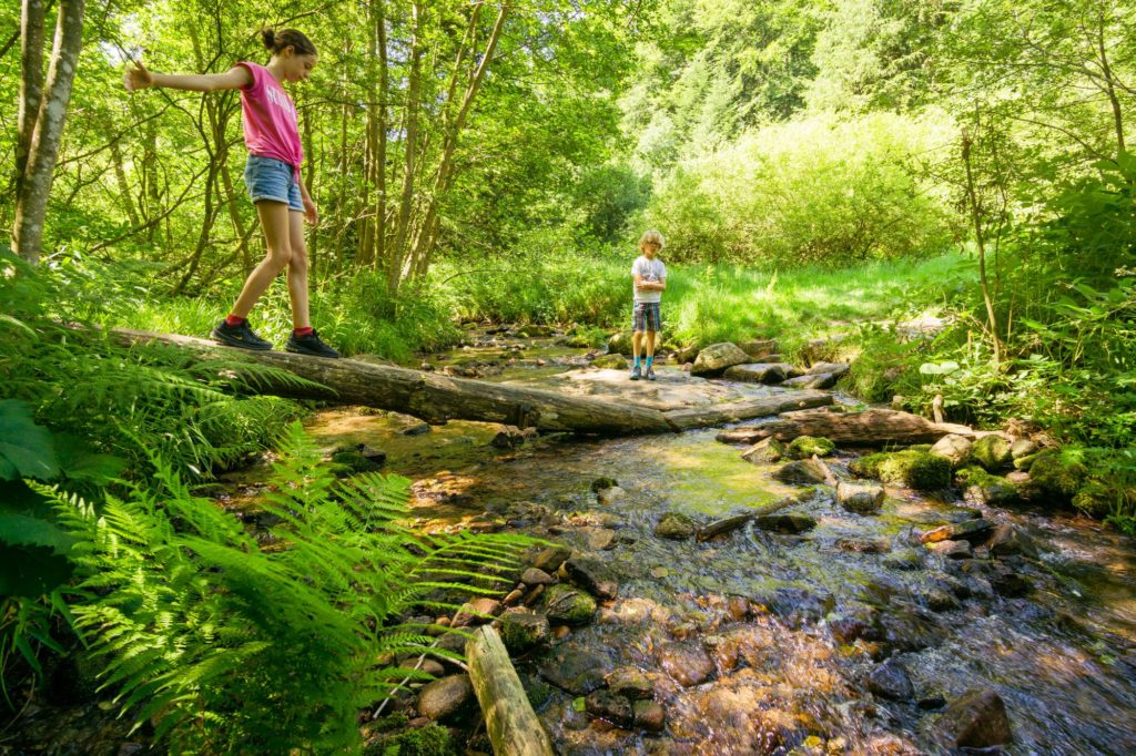 Alpirsbacher Tourentipp - Wildkatzen Walderlebnis Bad Herrenalb