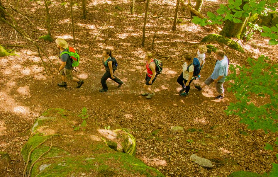 Alpirsbacher Tourentipp - Wildkatzen Walderlebnis Bad Herrenalb