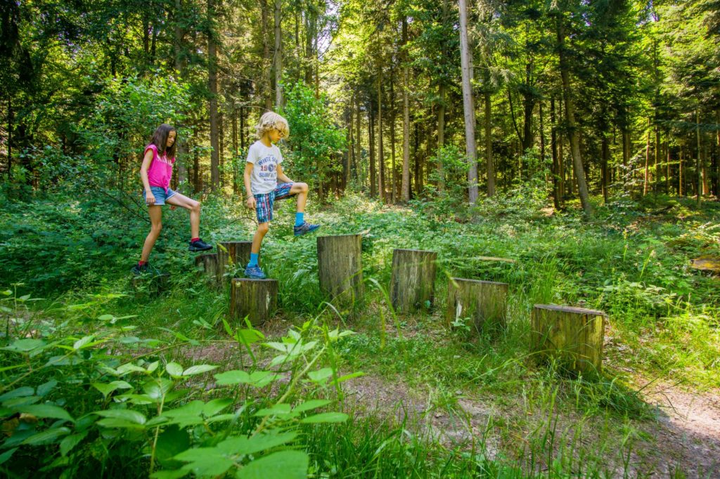Alpirsbacher Tourentipp - Wildkatzen Walderlebnis Bad Herrenalb