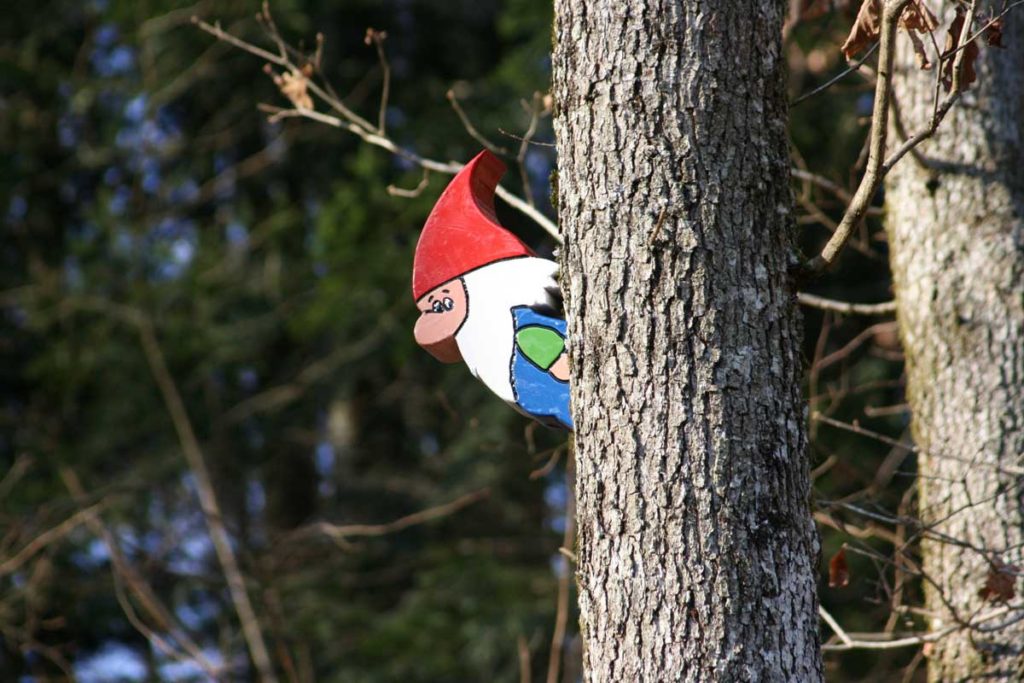 Naturpark-Wandertag und Löwenzahn-Geocaching