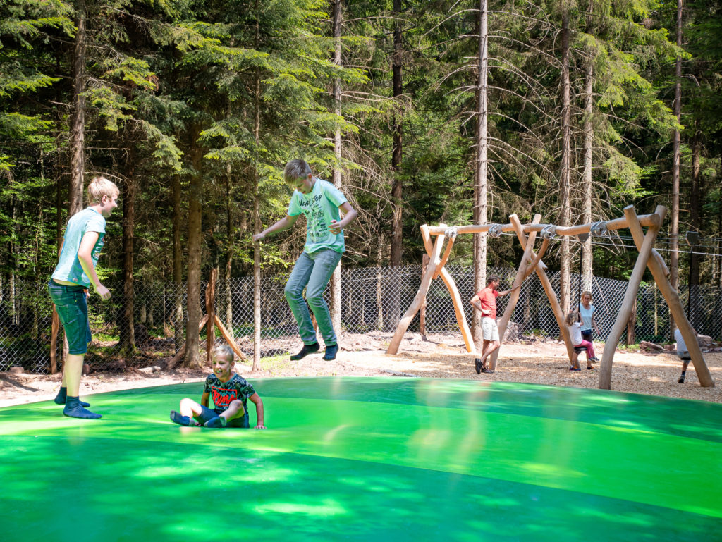 Abenteuerwald Sommerberg beim Baumwipfelpfad Bad Wildbad