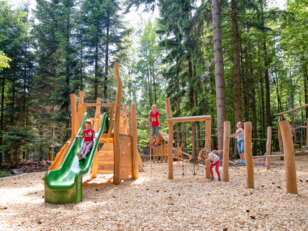 Abenteuerwald Sommerberg beim Baumwipfelpfad Bad Wildbad