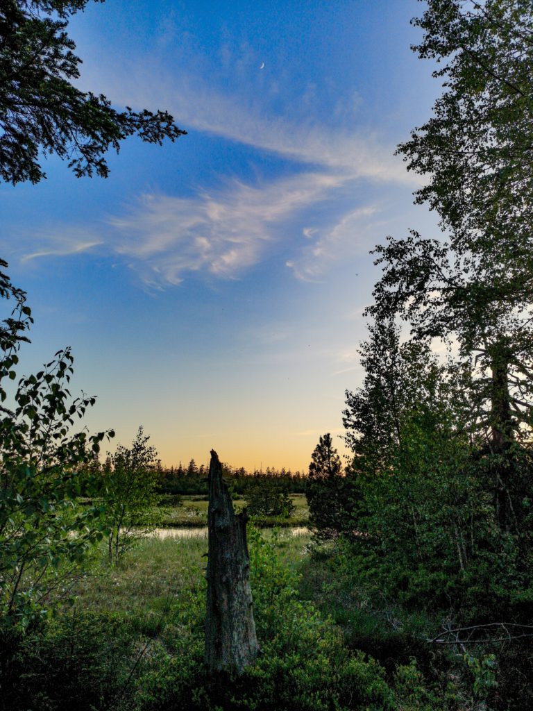NaTour auf dem Hohloh - barrierefrei Hohlohsee