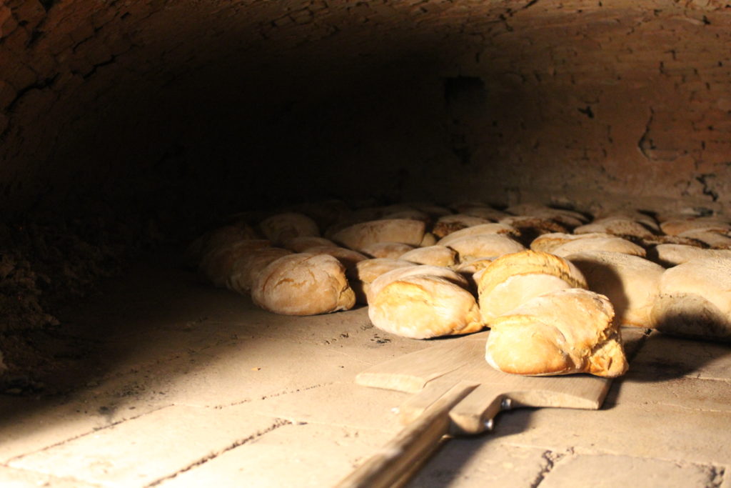 Trekking Vorderbühlhof Oppenau