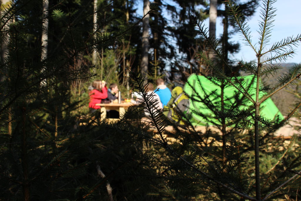 Trekking Vorderbühlhof Oppenau