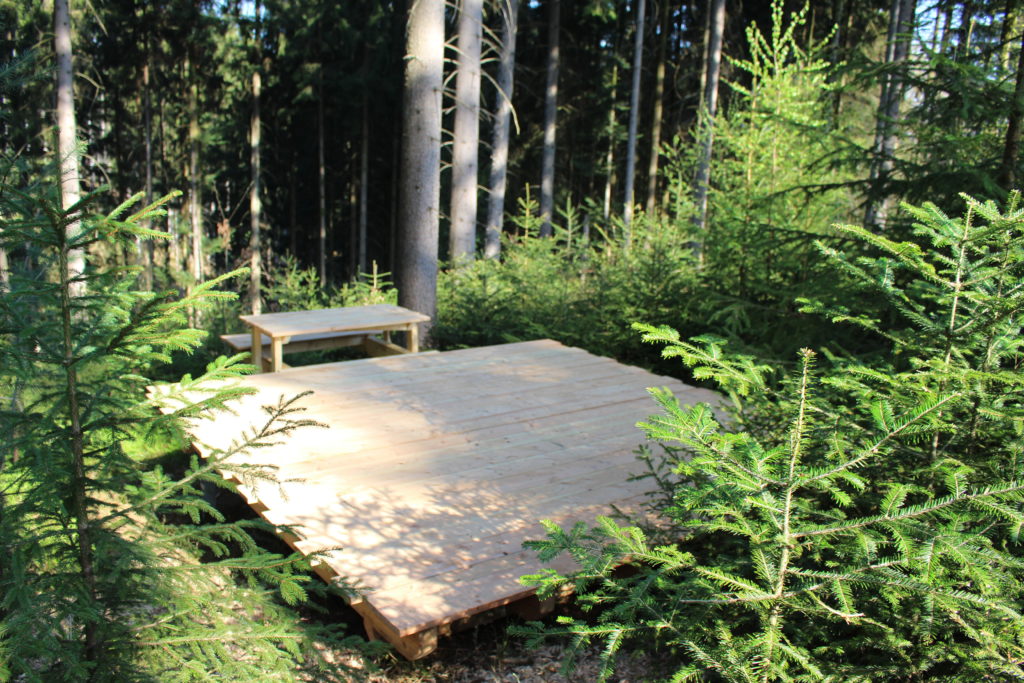 Trekking Vorderbühlhof Oppenau