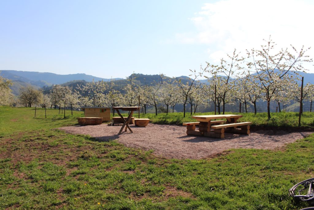 Trekking Vorderbühlhof Oppenau
