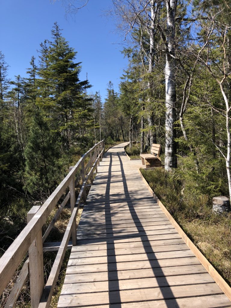 NaTour auf dem Hohloh - barrierefrei - Hohlohsteg