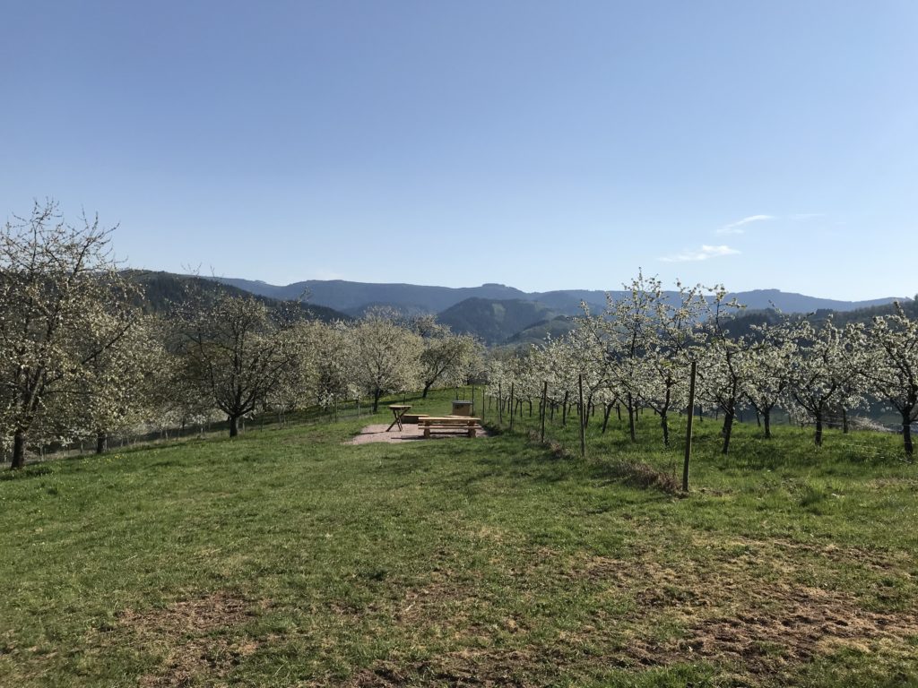 Trekking Vorderbühlhof Oppenau