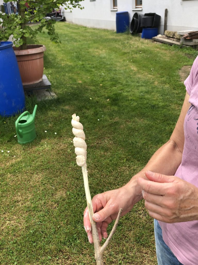 Microadventure Zelten im eigenen Garten