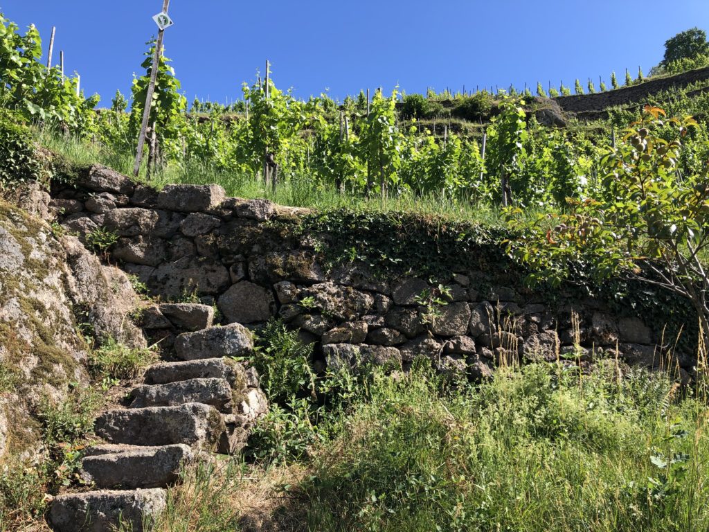 Microadventure Hausbergbesteigung - Bühlertal