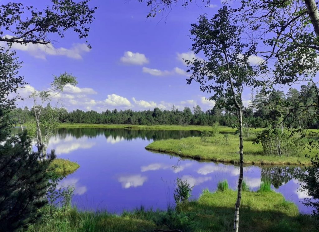NaTour auf dem Hohloh - barrierefrei - Wildsee