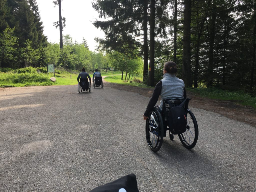 NaTour auf dem Hohloh - barrierefrei