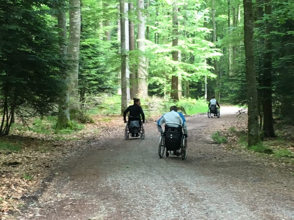 NaTour auf dem Hohloh - barrierefrei