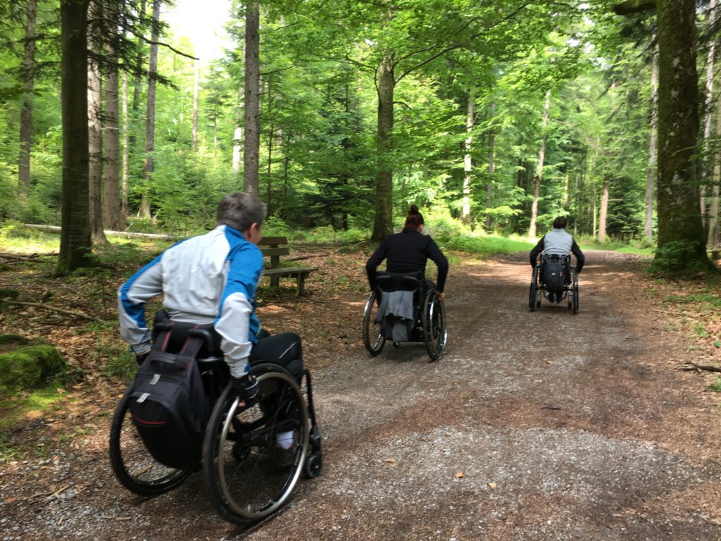 NaTour auf dem Hohloh - barrierefrei