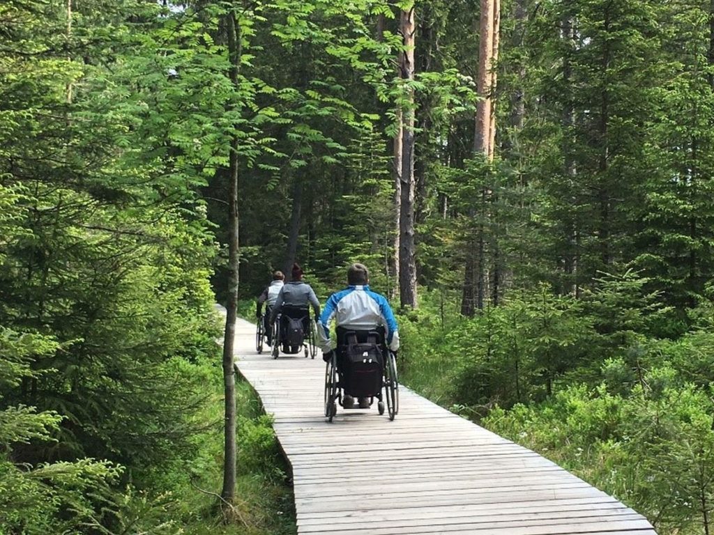 NaTour auf dem Hohloh - barrierefrei