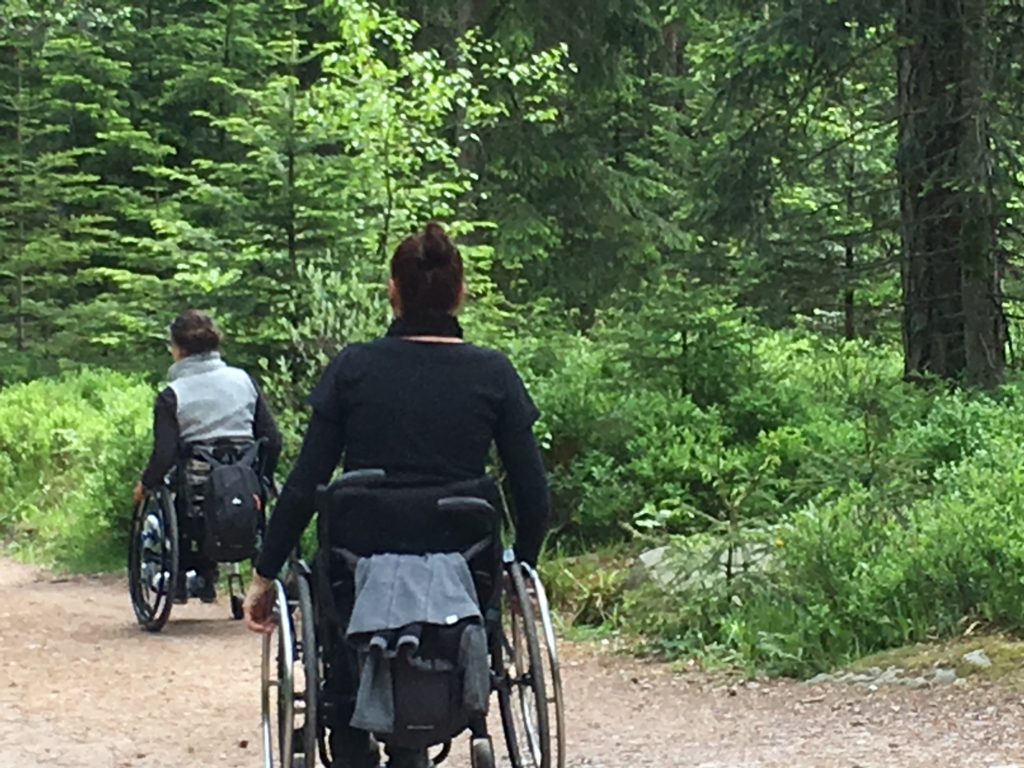 NaTour auf dem Hohloh - barrierefrei