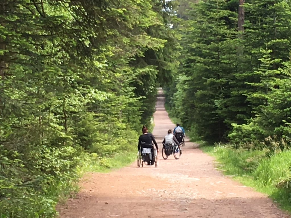 NaTour auf dem Hohloh - barrierefrei