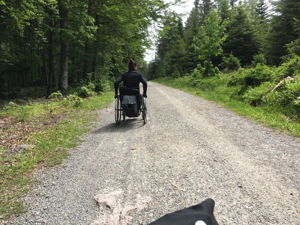 NaTour auf dem Hohloh - barrierefrei