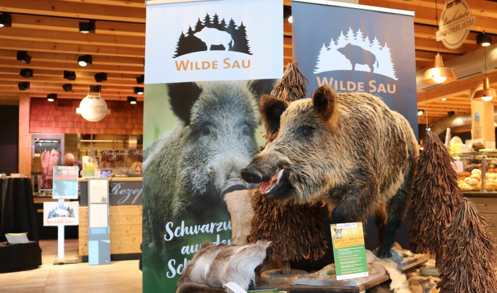 Projekt Wilde Sau - Aktionstag Geroldsauer Mühle