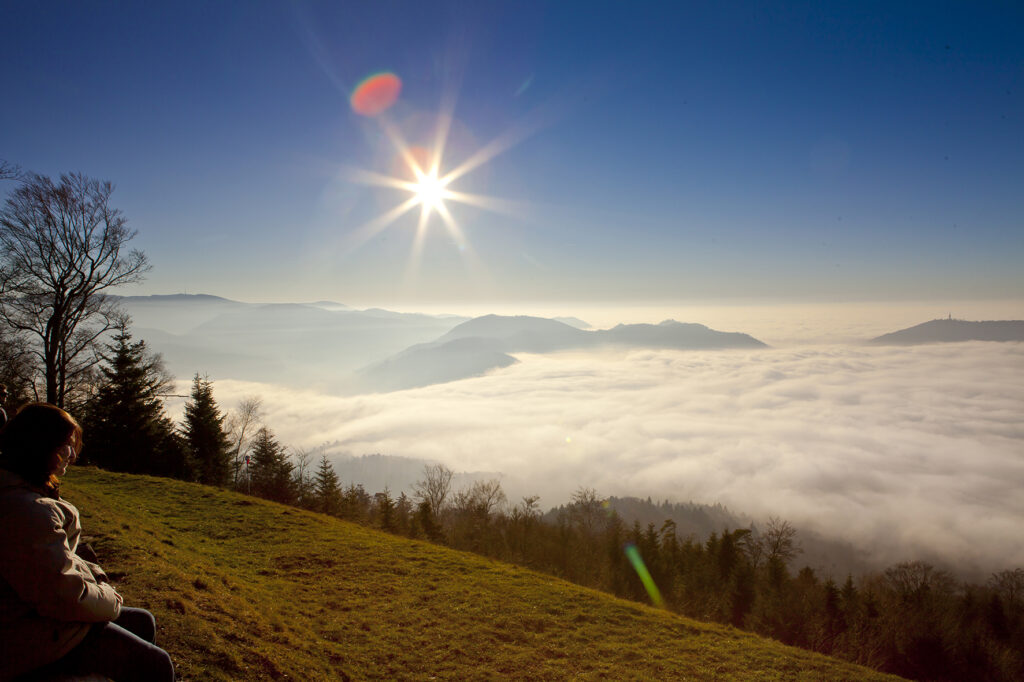 Alpirsbacher Tourentipp Panoramaweg Baden-Baden
