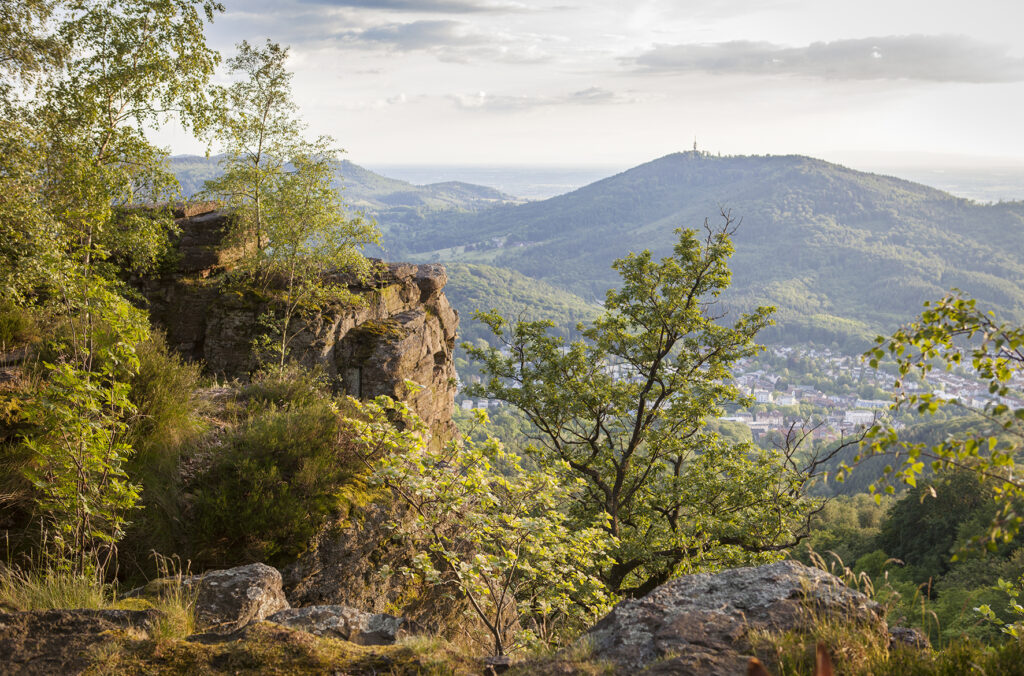 Alpirsbacher Tourentipp Panoramaweg Baden-Baden