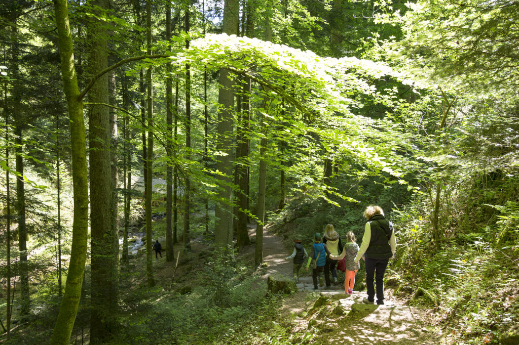 Alpirsbacher Tourentipp Panoramaweg Baden-Baden