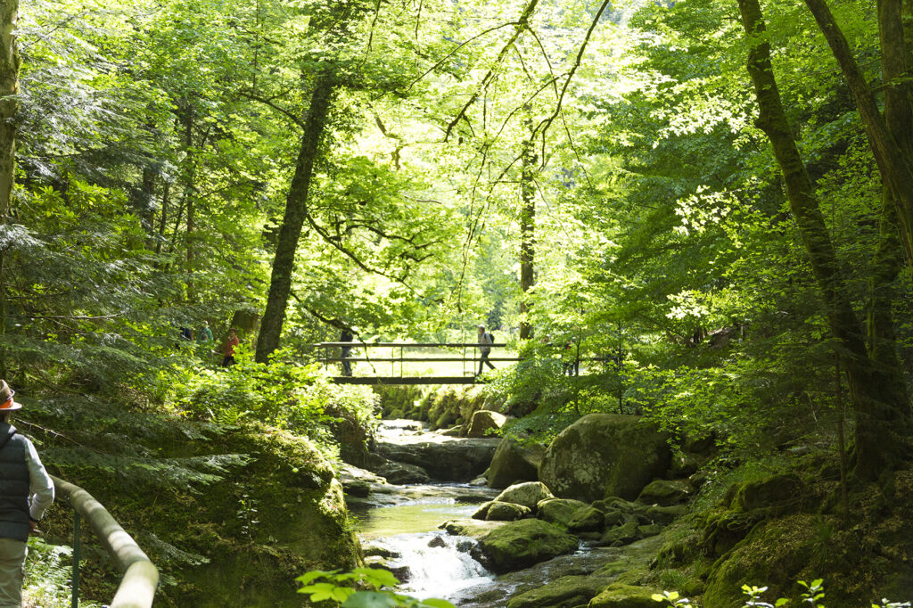 Alpirsbacher Tourentipp Panoramaweg Baden-Baden