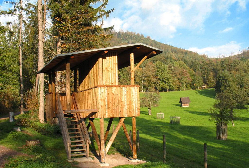 Alpirsbacher Tourentipp Panoramaweg Baden-Baden