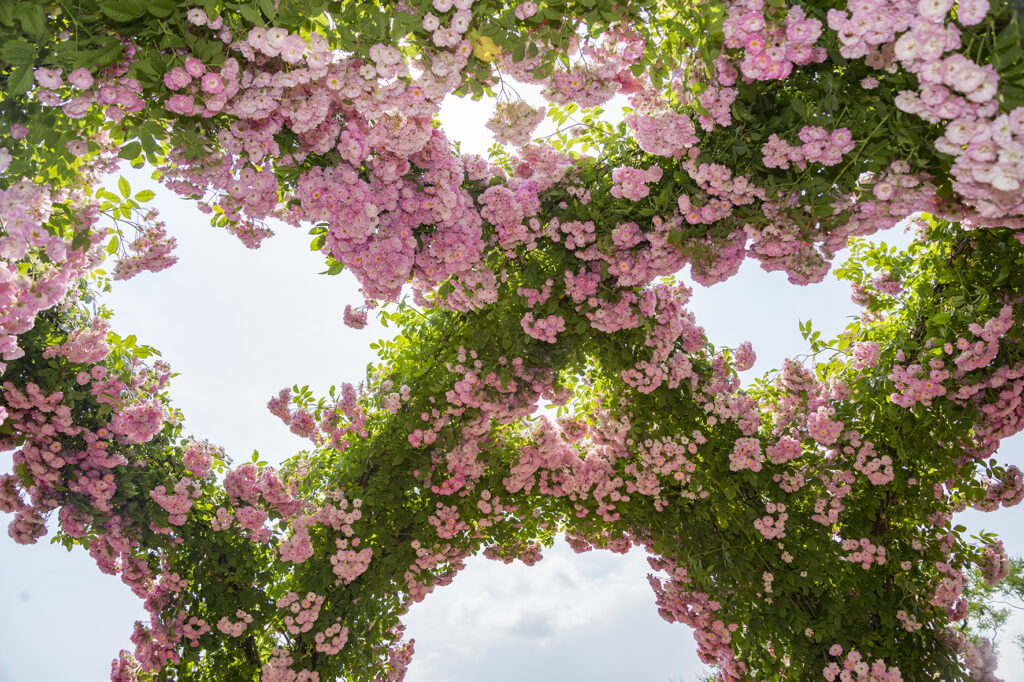 Alpirsbacher Tourentipp Panoramaweg Baden-Baden