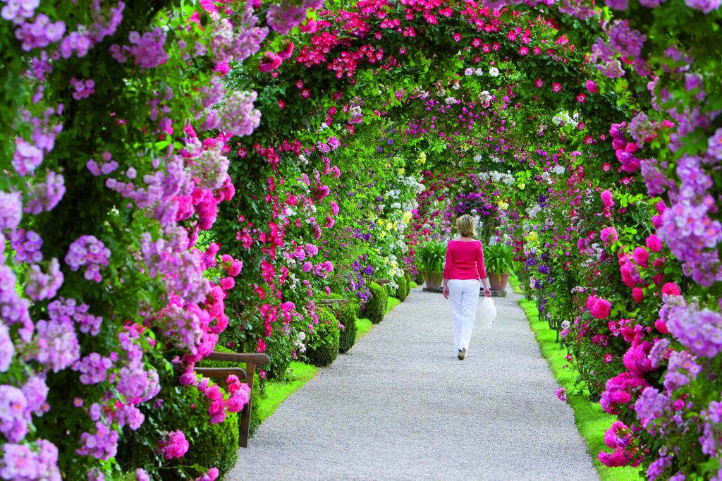 Alpirsbacher Tourentipp Panoramaweg Baden-Baden
