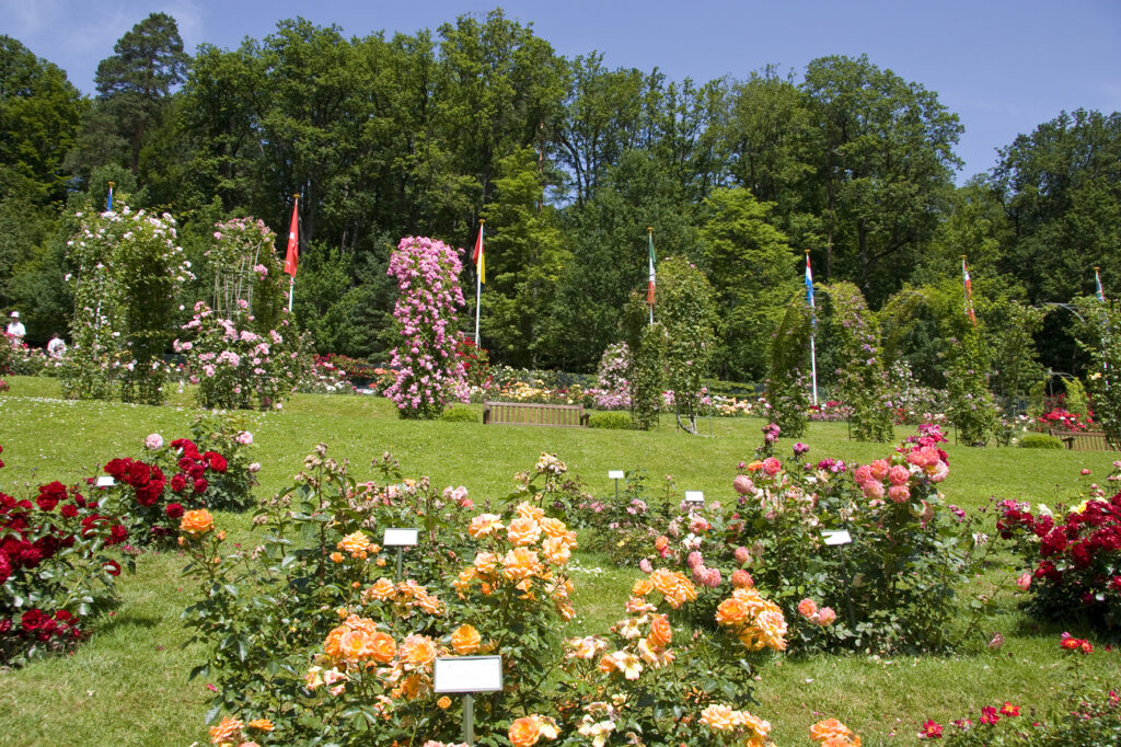 Alpirsbacher Tourentipp Panoramaweg Baden-Baden