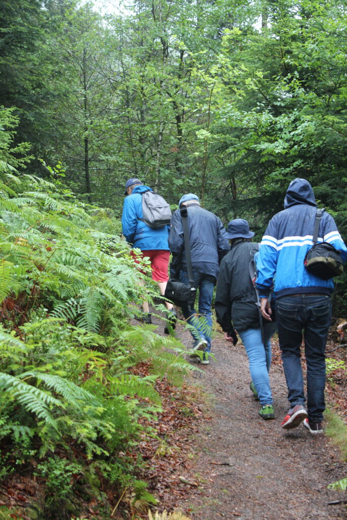 20 Lieblingsplätze der Schwarzwald-Guides