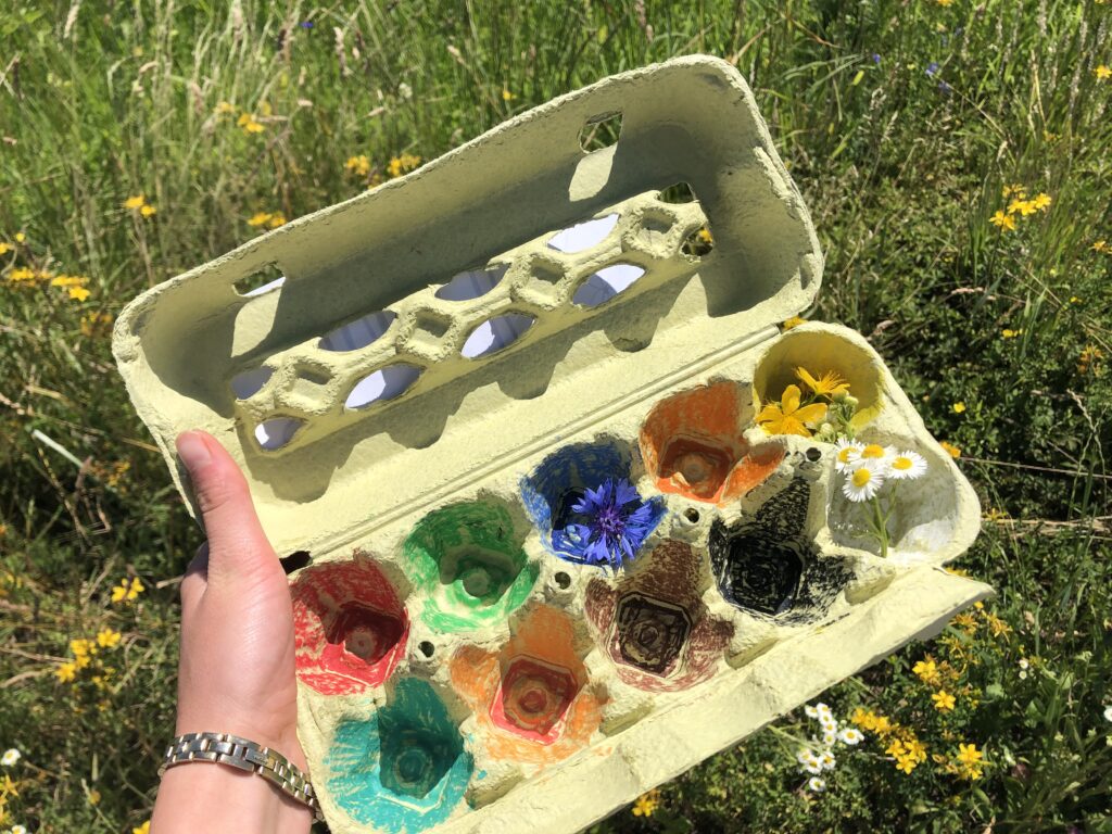 Online-Ferienprogramm Wiese Blumen sammeln