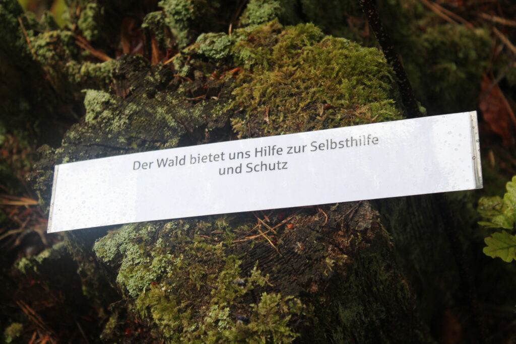 20 Lieblingsplätze der Schwarzwald-Guides